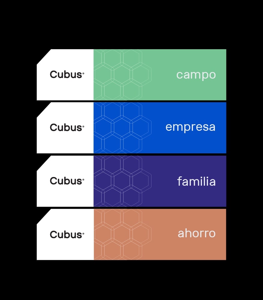 CUBUS Broker de Seguros
